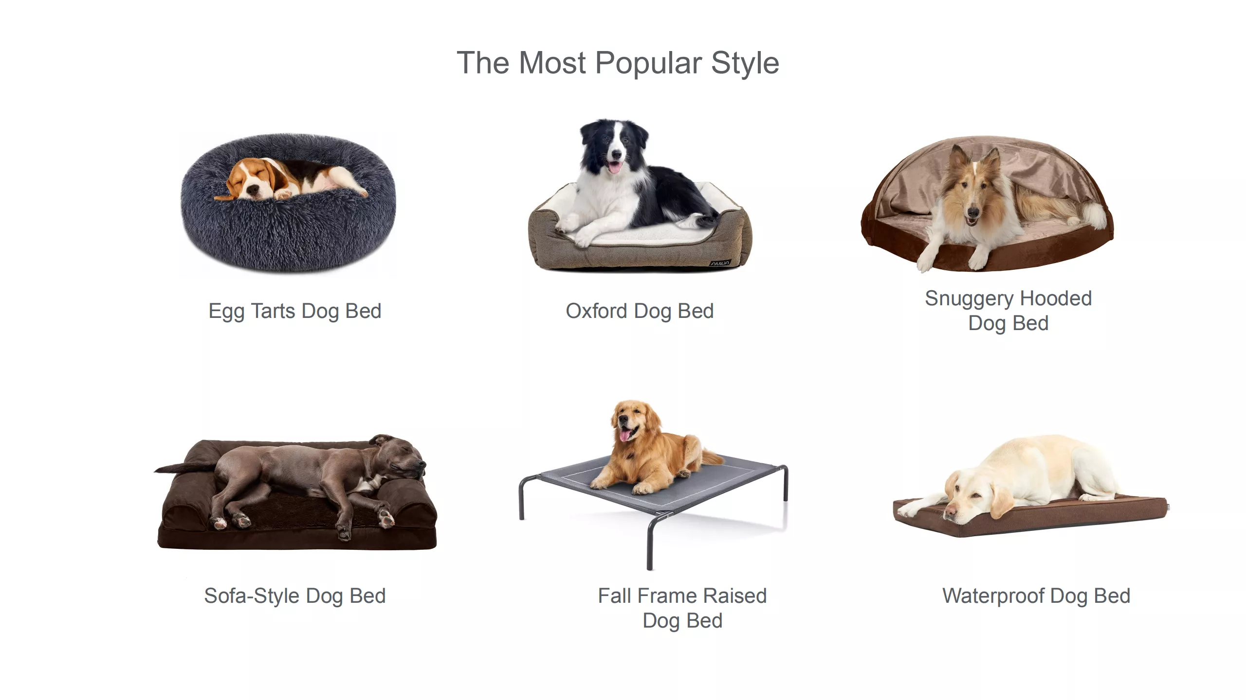 Anti-nerimo putplasčio šunų lova Pet Memory Foam žmogaus lova5