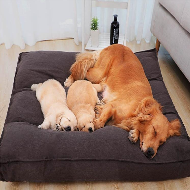 Mga Supplier ng Dog Beds Soft Dog Cushion Washable Memory Foam Pet Bed