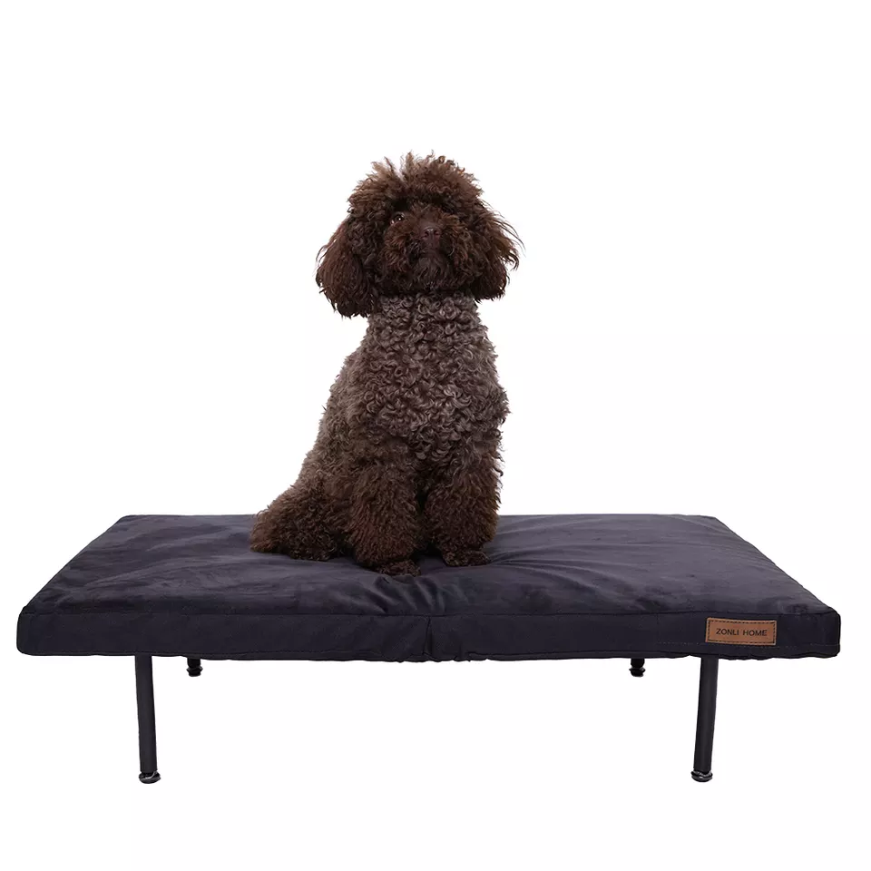 2022 Outdoor Travel Pet Camp Bed Steel Support Removable Mesh Dog Bed