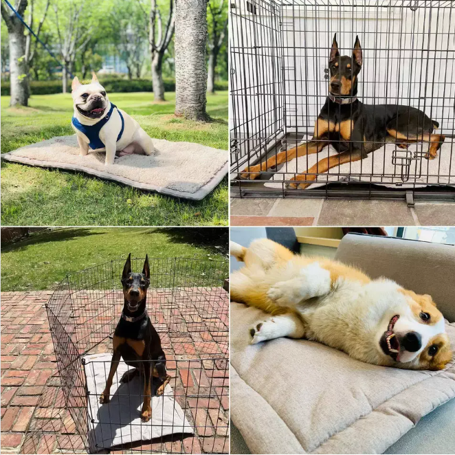 
Bed Mat For Pets