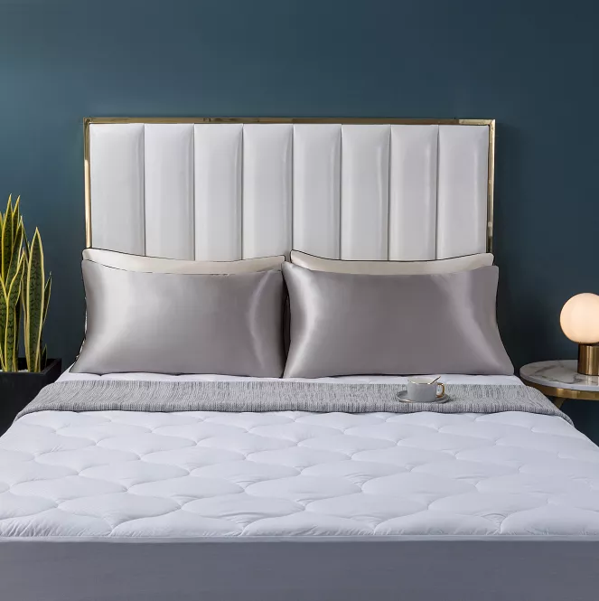 Fade Resistant Luxury Pillow Case6